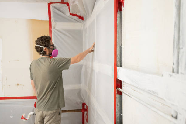 Biohazard Mold Removal in Franklinville, NC