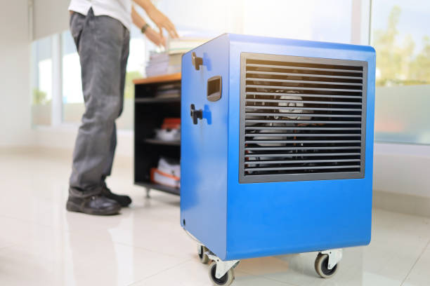 Best Mold Remediation for Healthcare Facilities  in Franklinville, NC